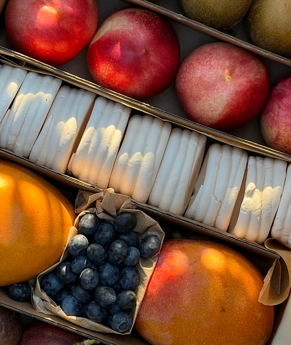 פאבלובה מפנקת