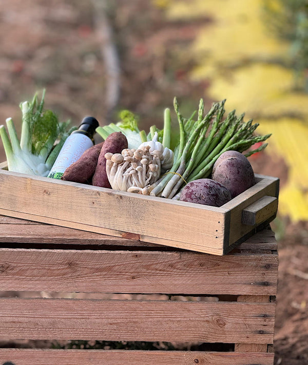 הכי קרוב לאדמה