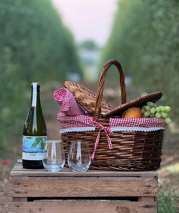 חגיגת פיקניק מהאדמה