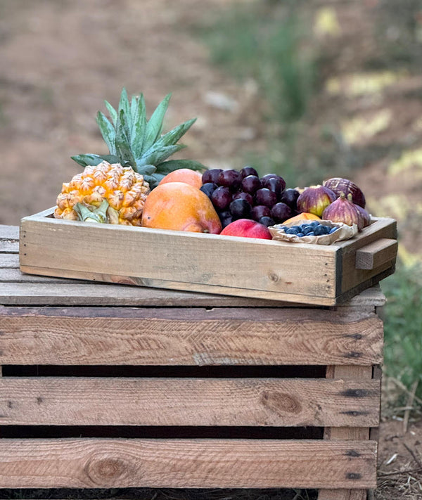 חגיגת פירות