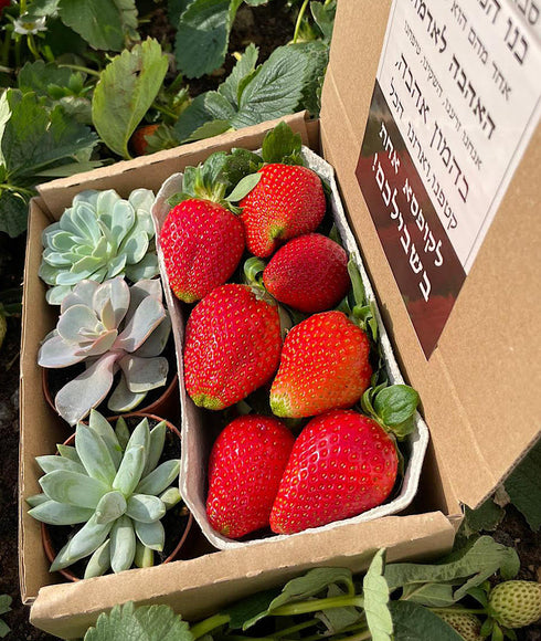 טו בשבט אישי