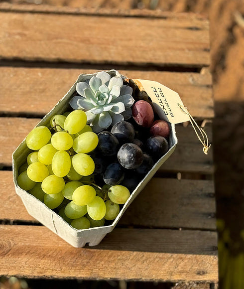 רק רציתי להגיד תודה