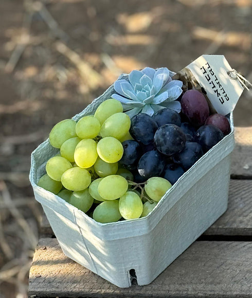 רק רציתי להגיד תודה