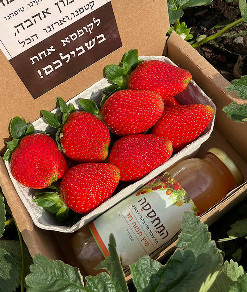 טו בשבט אישי