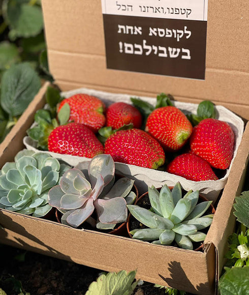 טו בשבט אישי