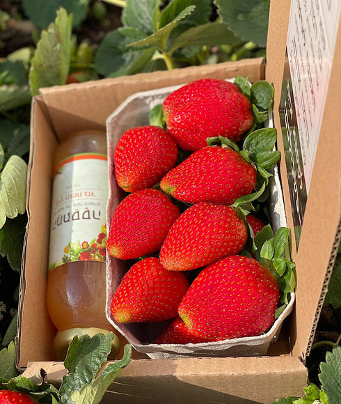 טו בשבט אישי